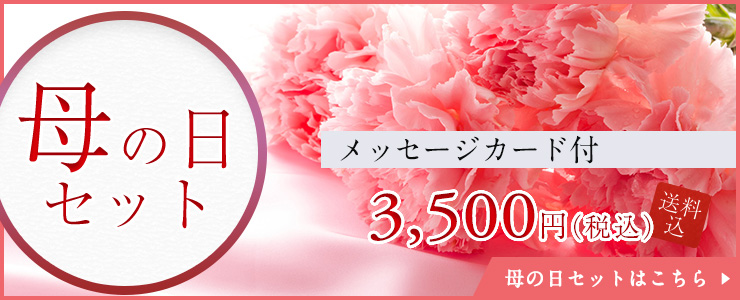 母の日セット